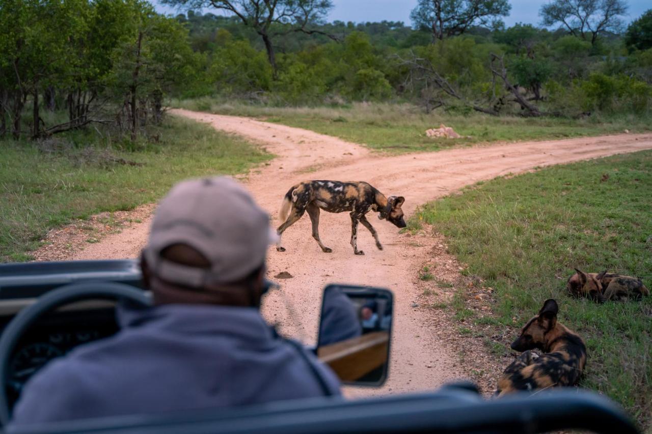 Thornybush Game Lodge Domaine de chasse de Thornybush Extérieur photo