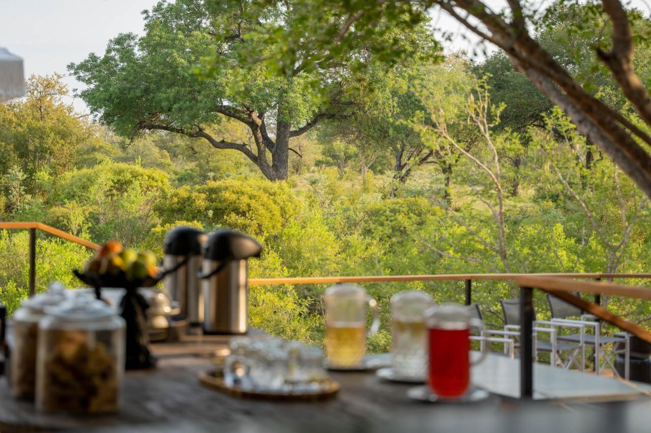Thornybush Game Lodge Domaine de chasse de Thornybush Extérieur photo